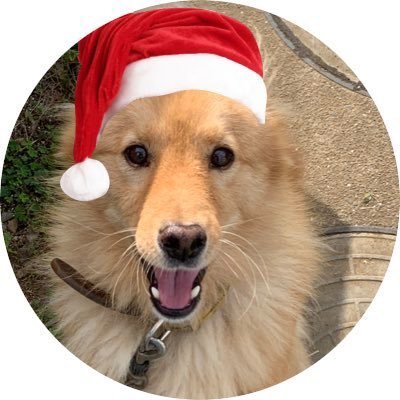 hufgkne9UkUO1DW's profile picture. 2021.9月～FX開始 🪴少額でコツコツトレード勉強中で す 📈標は専業トレーダーになる事☝️退場をせずに絶 対に諦めない 趣味は、FX📈 ゴルフ⛳️姫🐈‍⬛💕✨筋 トレ お酒 ✨などなど ”☺️DMはほぼ読み ません #FX#猫#海#投資家#ピアノ#ポケモンGO