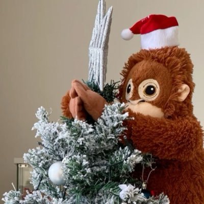 shhoyoh's profile picture. björk notice 0x 
i like music and hiking