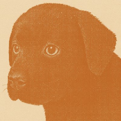 ddakbbam1's profile picture. ★ Inner Circle CT
★ Let's Follow, Interact!!