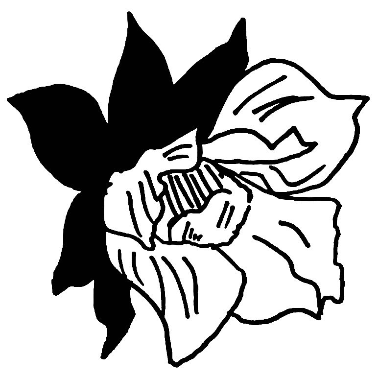 asap_posse99's profile picture. 札幌25 3年ぶり。裏友だち募集