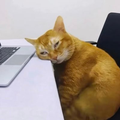 lingjiy186676's profile picture. 