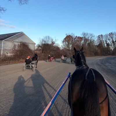 RMattsyeet's profile picture. Chili cookoff champion - 7th place 2 cylinder class Saratoga county fair 2023 - Landlord - Knower of all things