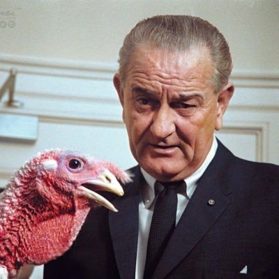 GreatSocietyDem's profile picture. Lover of Civil Rights, Hater of Richard Nixon. President by birth, Texan by the grace of God. Taken by Ladybird. 🇺🇸 Run by @scottsmithfr