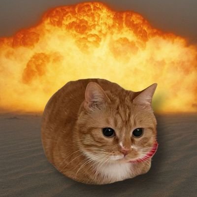 miawtime's profile picture. bukan studytwitt