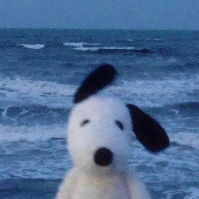 kinta_plx92's profile picture. 