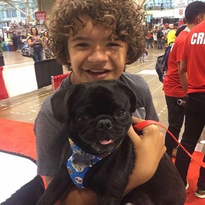 soyelpeladin's profile picture. lloro mucho pq la serie q me acompañó toda mi infancia y adolescencia está terminando