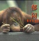 MatthewSco33702's profile picture. Financial markets enthusiast 💹 B💦reaking down c🍂harts, earning🪐s & macro news. Here for tr💎a💐ders who 🌂want clarity💦 in the chaos