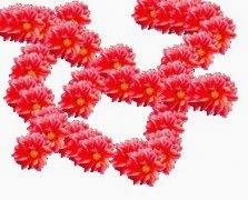 MikeWright61110's profile picture. "Sometimes what 🎊didn't w🌟ork out for you really wor🍂ked out👍 for you.