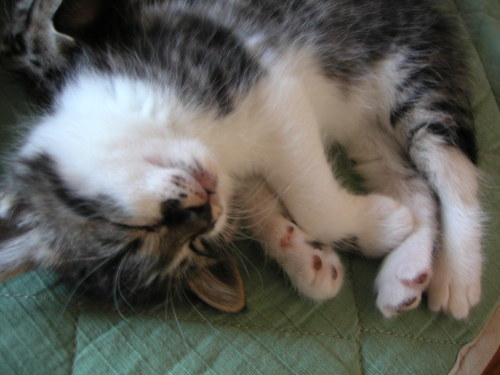 aya_u's profile picture. 元働く母 現2児の母 inベトナム