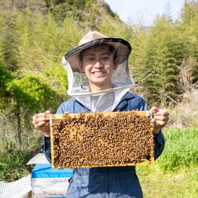 HACKLINE_takuto's profile picture. 養蜂歴6年｜公式LINE構築者 | 巣箱よりLINE触ってるけど、ハチには嫌われてません。 「売上につながる導線づくり」を一緒に育てます。特に接客の伴う業界でのLINE構築が得意です。 構築ノウハウ・事例・改善プロセスを毎日発信中🍯 🐝〜