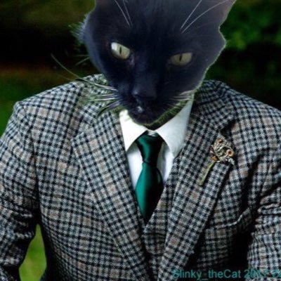 Slinky_The_Cat's profile picture. I'm Slinky, a rescue Tuxie mancat w/a #BadAssCurlyTail. #Nipclub regular, #ZSHQ #SlayerSchool #TheAviators. #OTRB 10-4-19. Replicant Nexus 7
