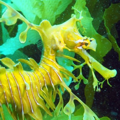 thatsabigstick's profile picture. i am happy because everyone loves me.
devious impish lady 🔞 (19) suggestive content sometimes. #1 geordie greep fan