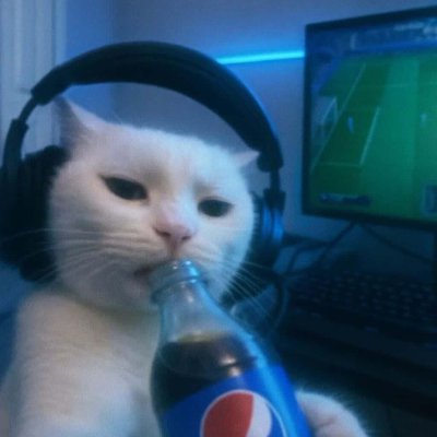 slutpopmiami's profile picture. President of the Olivia Dean support group.