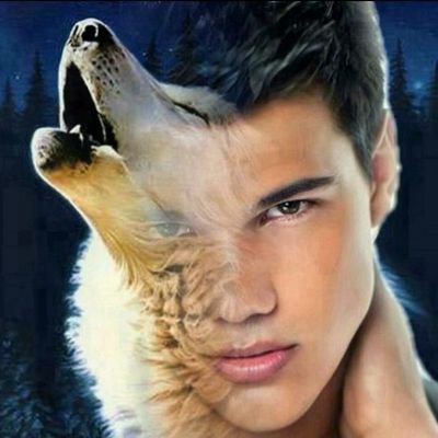 kombuchinha's profile picture. você fez ASSIM você CONFIRMOU que minha casa tava bagunçada