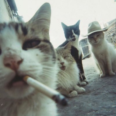 PaganOrigin's profile picture. 🏴󠁧󠁢󠁥󠁮󠁧󠁿 Female. Pagan. England is in my bones. I speak as I find, and I type how I speak. I don’t care if you’re offended so don’t bother telling me.