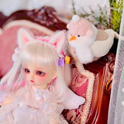 kamitsure_nui's profile picture. ドール初心者兼審神者 🇯🇵20↑♀︎/MDD、SDM、幼天使、幼SD、DearSD、SD13精霊、Tinyfoxのオーナー(詳細は拡張プロフにて) とうらぶ垢→(@astal_naeri)