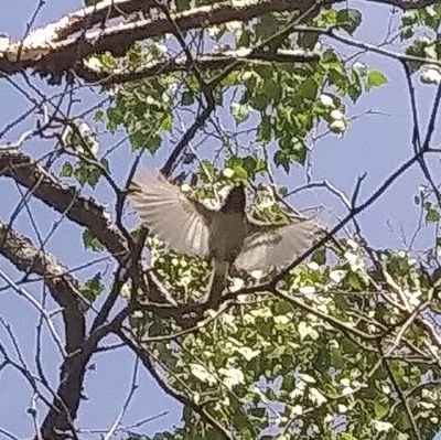 PobodyNerfect2's profile picture. No DMs•I Dont Fit In Your Box • Dont Settle For The Unacceptable • STOP ISRAEL • END THE OCCUPATION • FREE PALESTINE🇵🇸•DO NOT TOLERATE GENOCIDE •