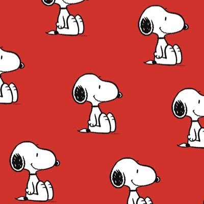 3llour's profile picture. 📸⭐️⚓️⛱️🎾🐬🥇