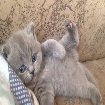 nasakevzz's profile picture. 