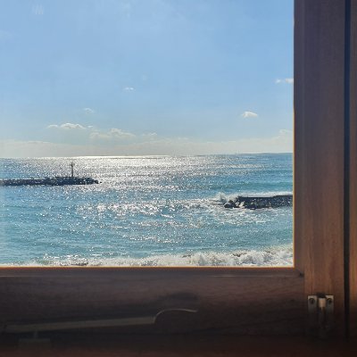 JJooong87's profile picture. Pokemon Unite KR Player
25 Sea Pro League 🥇
24 Wcs 🥈/ 23 17th
25 Acl 5th 24 7th