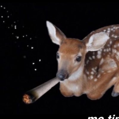 g4titos's profile picture. Sinner