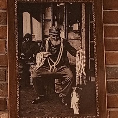 aysenur_alkn's profile picture. 