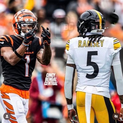 diishonored__'s profile picture. I just like the Bengals