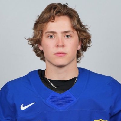 tloasg's profile picture. #NORR1S #thefutureisteal #gohabsgo