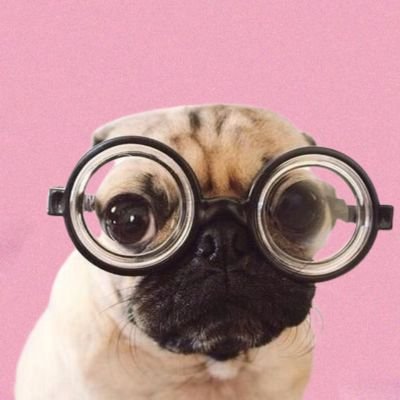 kauexereca's profile picture. alter ego. | perfil monitorado pelos pais. 👼🏾💛 EU SOU MAIS WOKE E PERFORMÁTICO DO QUE TODOS VOCÊS