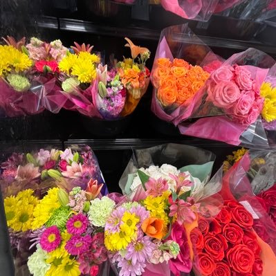 sallyaraii's profile picture. 