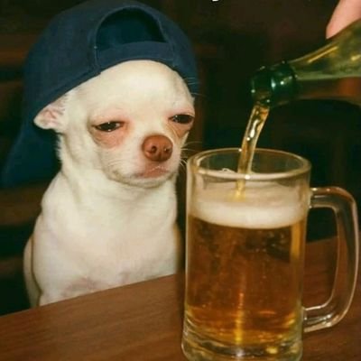 Wyza_Cct's profile picture. 