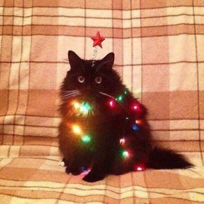 eternalsatrn's profile picture. BLACK LIVES MATTER fan account