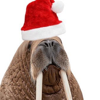 AcidicTrap's profile picture. Steve Reviews #1 fan. I run @500teethdino1