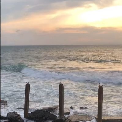 GaoiranP42303's profile picture. 