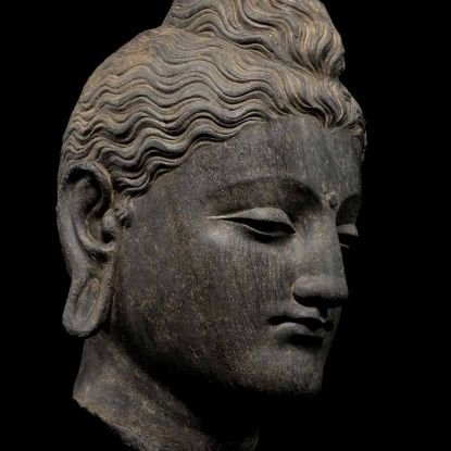 jamohaneel's profile picture. 