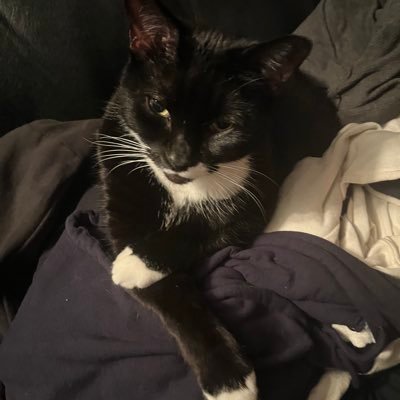 Gh4stgurll's profile picture. 18