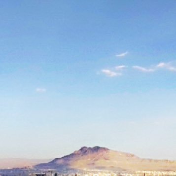 lolofahl's profile picture. 