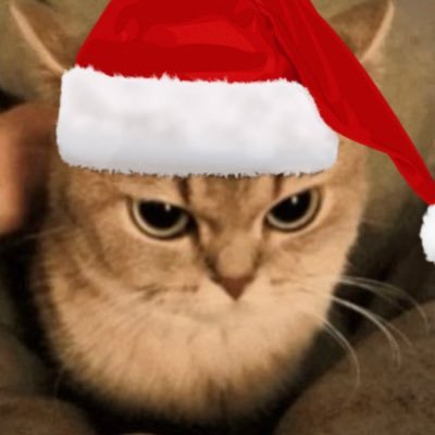 maddydatweetgal's profile picture. lonely transbian latina yearning for love | wachowskis & lynch scholar | the person who’s heart can easily break watching a exceptional piece of art