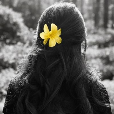 judybloom2026's profile picture. Amante de la aventura y la curiosidad🌼Me espera un camino amplio por explorar, aprender y avanzar💫Siempre inquieta, olfativa y táctil😊Libertad🕊.