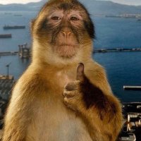 ZagaDat🍃 (@mrchulo__) 's Twitter Profile