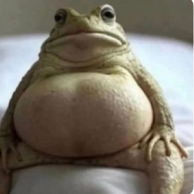 Nihiliste_59's profile picture. 