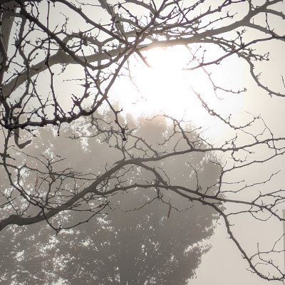 ErinTries's profile picture. 