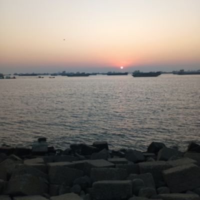 homemadebd206's profile picture. 