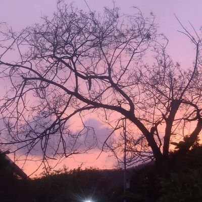 nishu_980087's profile picture. 