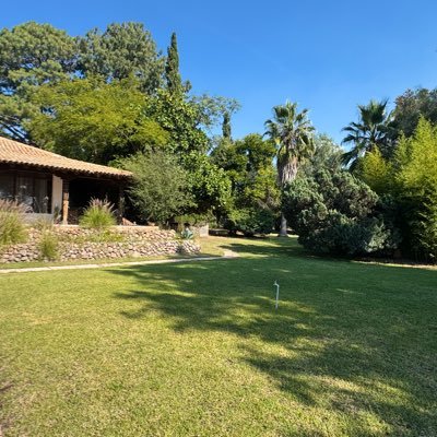 lorenadlfO's profile picture. Mujer de alas no de jaulas