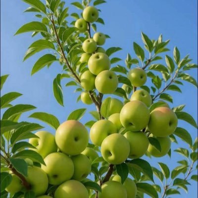 FxRuss41140's profile picture. Trader | Entrepreneur 📊📈  #UTD