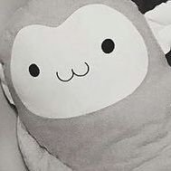 ssipgaylover's profile picture. 안녕하세요 저는 반짝반짝빛나는,위아원처하던,케이팝무당을좋아하는,게섯거라하고달리던,알밥과호빵을먹는핫도그스토리즈입니다!