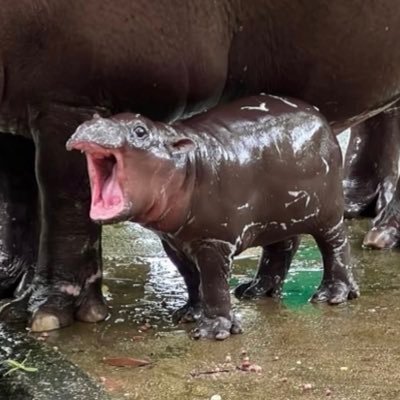 bluebase6895's profile picture. 