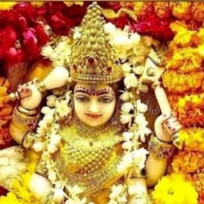 TejalPalan's profile picture. 