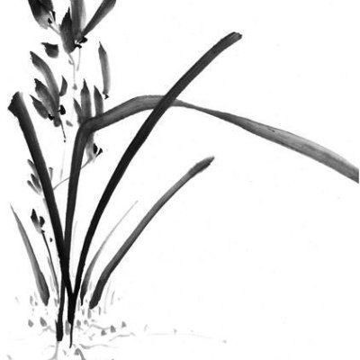 NamVn113859's profile picture. 